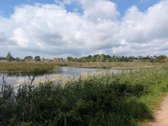Parduodamas 0,62 ha rekreacinės paskirties - nuotraukos Nr. 12