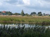 Parduodamas 0,62 ha rekreacinės paskirties - nuotraukos Nr. 15