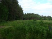 Parduodami 4 žemės ūkio paskirties sklypai - nuotraukos Nr. 11