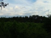 Parduodami 4 žemės ūkio paskirties sklypai - nuotraukos Nr. 13