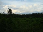 Parduodami 4 žemės ūkio paskirties sklypai - nuotraukos Nr. 14