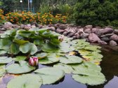 Pirmame aukšte įrengtas kondicionierius oras - nuotraukos Nr. 16