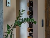 Modernus, Kokybiškos Statybos Namas Aukštomis - nuotraukos Nr. 10