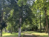 Ieškome tvarkingos nuomininkės, jaukiam butui - nuotraukos Nr. 20