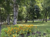 Ieškome tvarkingos nuomininkės, jaukiam butui - nuotraukos Nr. 21