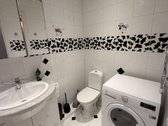 Nuomojamas prieš kelius metus renovuotas 3 - nuotraukos Nr. 5