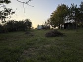 Parduodami 2 Sodo Sklypai Po 6 Arus – Iš Viso - nuotraukos Nr. 5