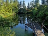 Parduodama Sodyba Dotiškių Kaime, Radviliškio R. - nuotraukos Nr. 3