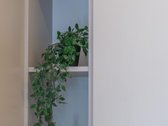 Išnuomojamas Visiškai Naujas Ir Tobulai - nuotraukos Nr. 19