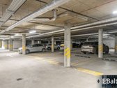 Erdvus, saulėtas ir žalumos apsuptas 2 - nuotraukos Nr. 14