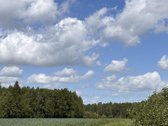 Parduodama sodyba ir žemės ūkio paskirties - nuotraukos Nr. 7