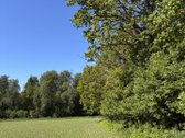 Parduodama sodyba ir žemės ūkio paskirties - nuotraukos Nr. 16