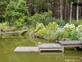 Ramybė Ir Gamtos Apsuptis – Jūsų Naujuose - nuotraukos Nr. 12