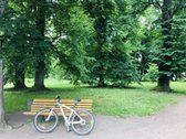 Vieta. Vieta. Vieta. - nuotraukos Nr. 34