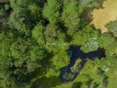 -Parduodamas unikalus dviejų aukštų namas - nuotraukos Nr. 32