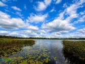Parduodama sodyba Šešuolių girioje prie - nuotraukos Nr. 42