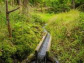 Jauki Sodyba Išpuoselėtos Gamtos Apsuptyje - nuotraukos Nr. 47