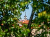 3 Kambarių Buto Nuoma Vilniaus Senamiestyje - nuotraukos Nr. 14