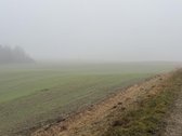 Parduodama žemės ūkio paskirties skypo dalis, - nuotraukos Nr. 6