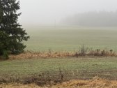 Parduodama žemės ūkio paskirties skypo dalis, - nuotraukos Nr. 8