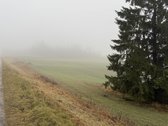 Parduodama žemės ūkio paskirties skypo dalis, - nuotraukos Nr. 9