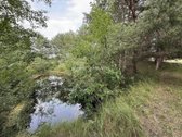 Pasiūlymas ieškantiems sodybos šalia Šiaulių - nuotraukos Nr. 31