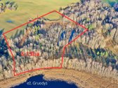 Parduodamas erdvus 6,13 ha žemės sklypas prie - nuotraukos Nr. 4