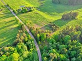 Šis erdvus 65 arų sklypas įsikūręs Aidiečių - nuotraukos Nr. 3
