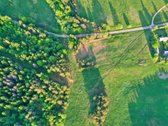Šis erdvus 65 arų sklypas įsikūręs Aidiečių - nuotraukos Nr. 4