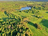 Šis erdvus 65 arų sklypas įsikūręs Aidiečių - nuotraukos Nr. 5