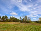 Šis erdvus 65 arų sklypas įsikūręs Aidiečių - nuotraukos Nr. 6