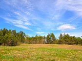 Šis erdvus 65 arų sklypas įsikūręs Aidiečių - nuotraukos Nr. 7