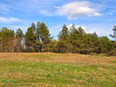 Šis erdvus 65 arų sklypas įsikūręs Aidiečių - nuotraukos Nr. 8