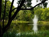 Parduodamas tvarkingas ir ekonomiškas vieno - nuotraukos Nr. 21