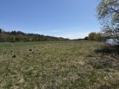 Parduodamas 99,62 arų žemės ūkio paskirties - nuotraukos Nr. 6