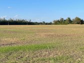 Parduodamas 6,18 ha (618 a) žemės ūkio - nuotraukos Nr. 3