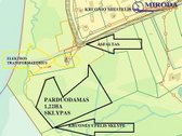Upelis, miškas, asfaltas, šalia komunikacijos. - nuotraukos Nr. 12