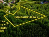 Upelis, miškas, asfaltas, šalia komunikacijos. - nuotraukos Nr. 2