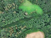 Parduodamas 2 Ha Žemės Sklypas Su Pakrante - nuotraukos Nr. 2