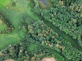 Parduodamas 2 Ha Žemės Sklypas Su Pakrante - nuotraukos Nr. 3