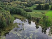 Parduodamas 2 Ha Žemės Sklypas Su Pakrante - nuotraukos Nr. 4