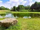 Parduodama sodyba su šilauogių ūkiu - nuotraukos Nr. 2