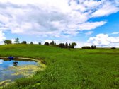 Parduodama sodyba su šilauogių ūkiu - nuotraukos Nr. 10