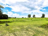 Parduodama sodyba su šilauogių ūkiu - nuotraukos Nr. 13