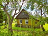 Parduodama sodyba su šilauogių ūkiu - nuotraukos Nr. 14