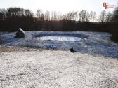 Parduodama sodyba su šilauogių ūkiu - nuotraukos Nr. 28