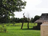 Parduodama sodyba su šilauogių ūkiu - nuotraukos Nr. 29