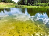 Parduodama sodyba su šilauogių ūkiu - nuotraukos Nr. 31