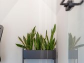 Išskirtinė Erdvė Palangos Centre – Šiandien - nuotraukos Nr. 4