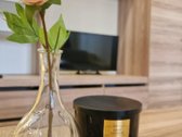 Nuomojamas erdvus ir jaukus 1 kambario butas - nuotraukos Nr. 6